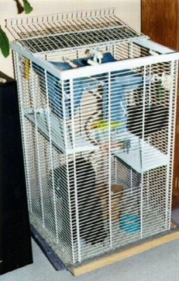 Jeff's Wire Cage